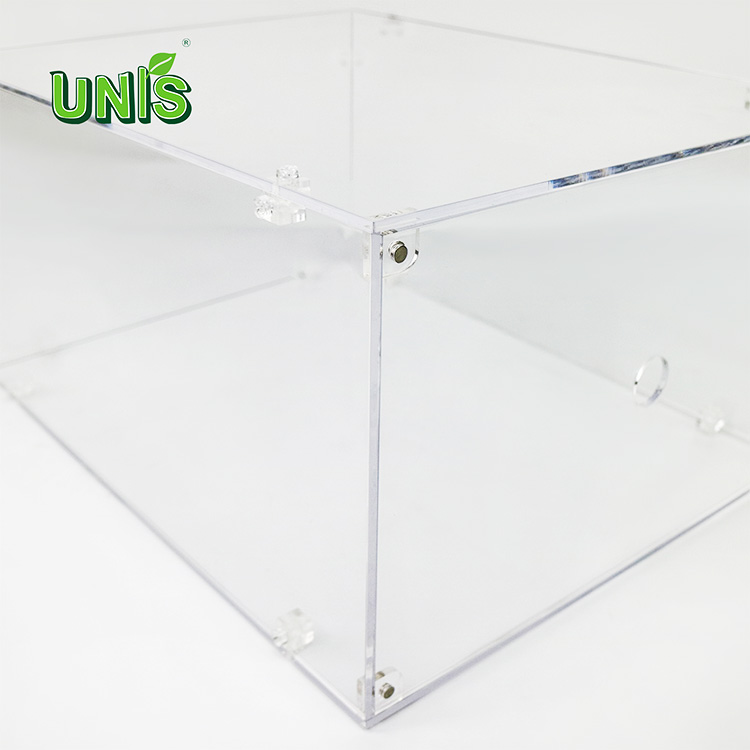 Transparent removable magnetic acrylic display shoe box